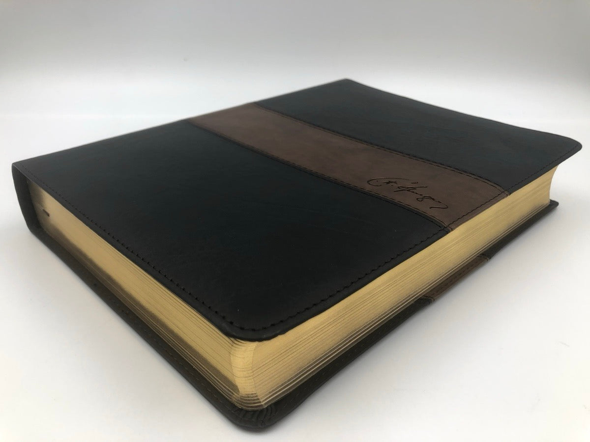 Biblia RVR 1960 de Estudio Spurgeon simi piel